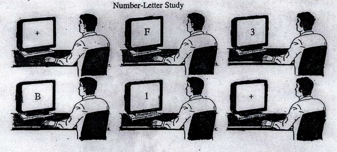 Number-letter task