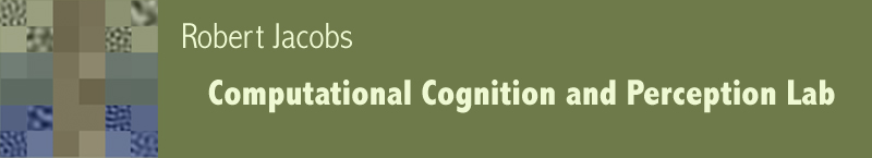 Computational Cognition & Perception Lab