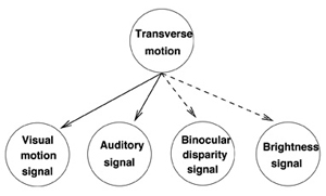 Bayesian Network